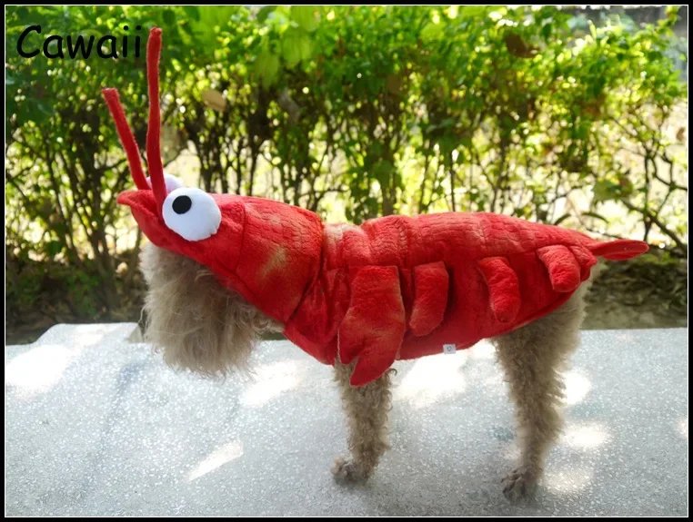 Pet Clothes Halloween Lobster Transformation Cats and Dogs Costumes Teddy Corgi Autumn and Winter New Dog Costumes Wholesale