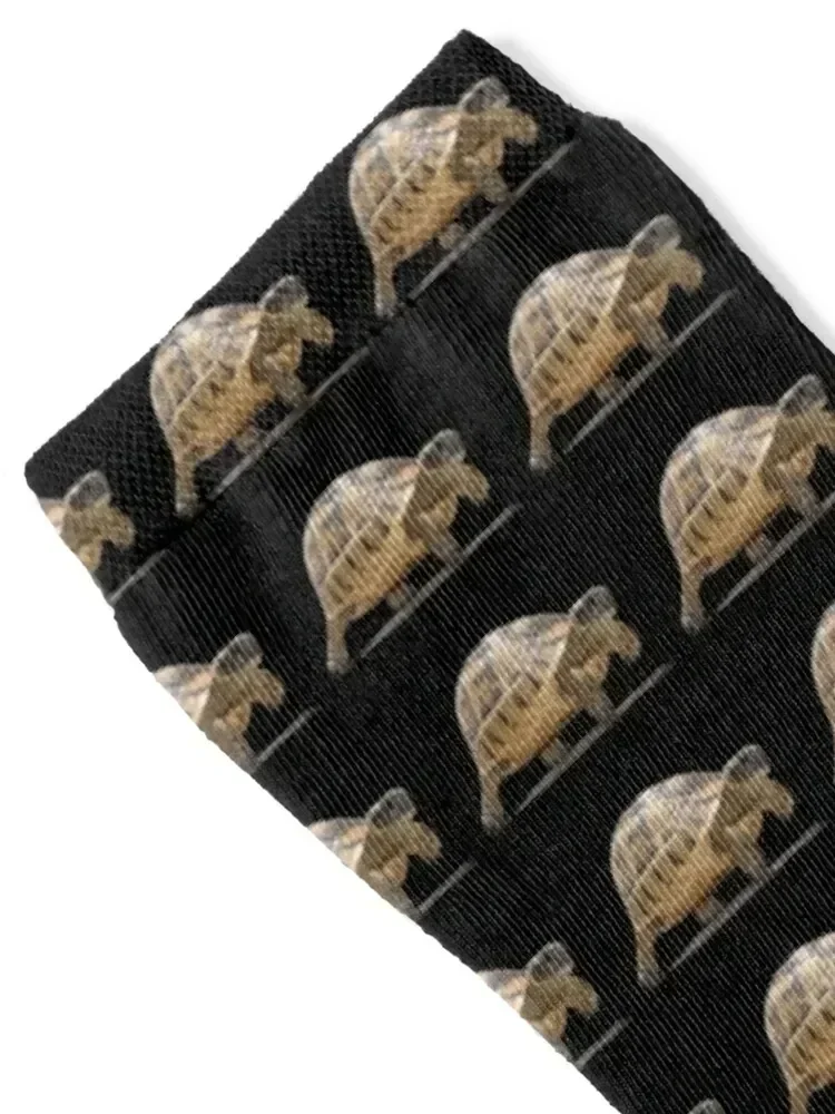 Marching Baby Tortoise Cartoon Vector Isolated Socks Children's snow tennis christmas stocking Socks For Man Women's