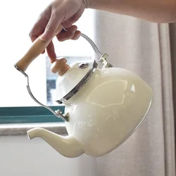 Vintage Enamel Whistling Tea Kettle, Elegant and Durable, Cute Water Kettle, Home and Kitchen, 2.5L