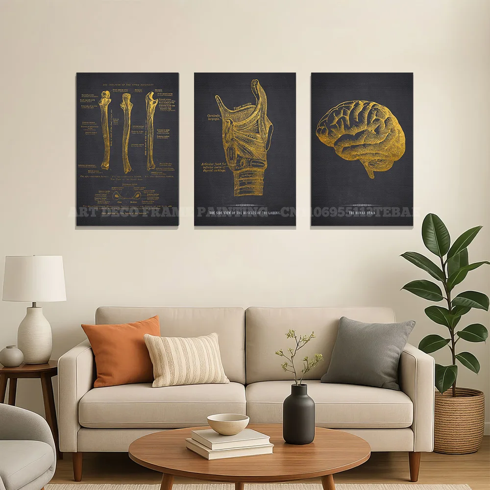 Retro Vintage Anatomy Canvas Wall Art Print Vintage Joints Artery Tendons Spine Elbow Eye Medical Bedroom Modern Home Accent
