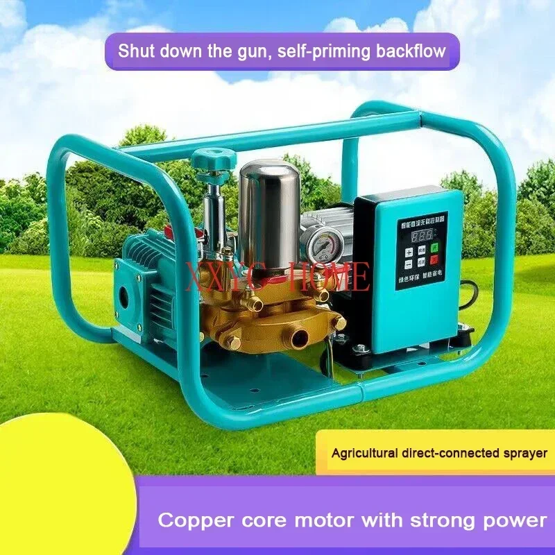 Wash the Car Irrigation Electric Sprayer High Pressure Punch For Agricultural Use Pesticide Sprayer Spray Machine