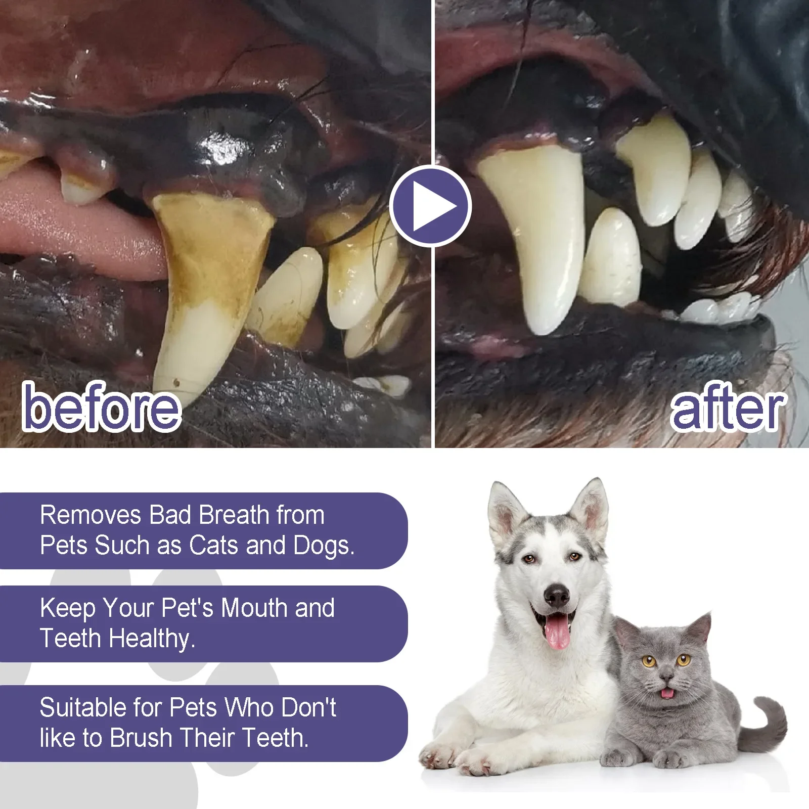 Pet Teeth Cleaner Pen Prevent Calculus Cat Mouth Fresh Teeth Stains Tartar Removal Kitten Bad Breath Oral Cleaning Dog Deodorant