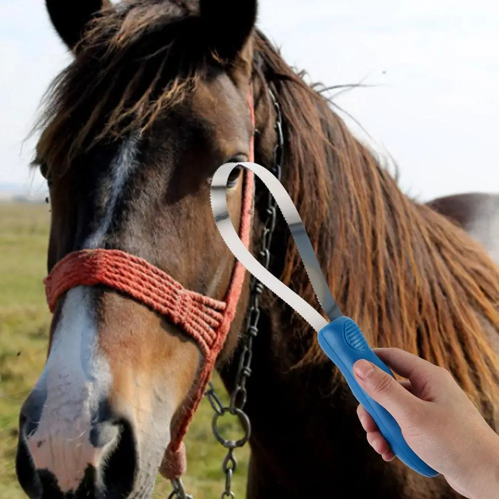 Con mango antideslizante, peine de doble cara para mascotas, peine antipicazón para mascotas, cepillo de cuidado para perros, cepillo de pelo de caballo, cepillo para desenredar caballos