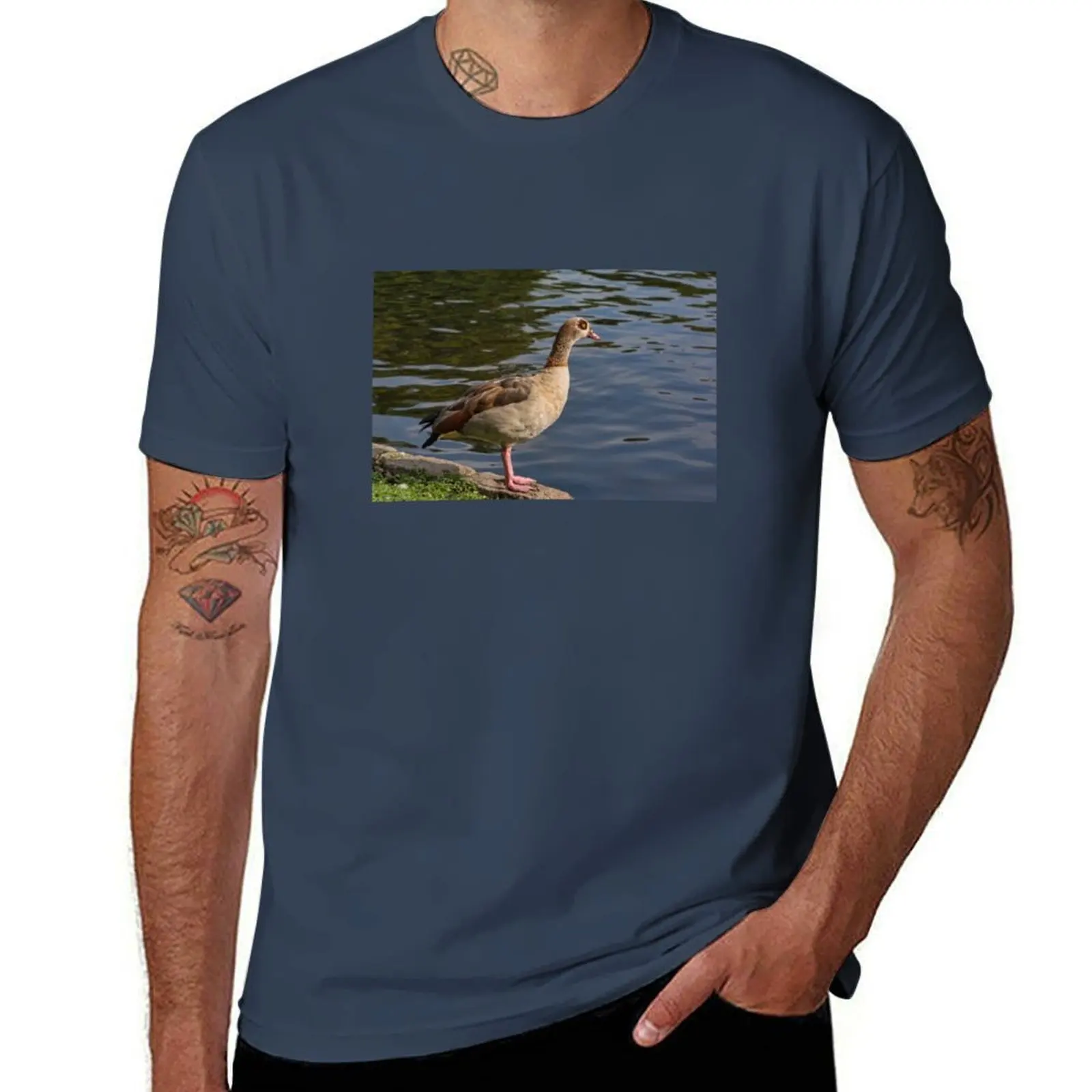 

Egyptian Goose in St James Park, London, UK T-Shirt Basic Plain Tee for Spring and Summer