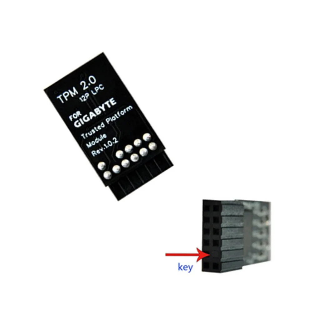 TPM 2.0 Encryption Security Module Remote Card Windows 11 Upgrade LPC TPM2.0 Module 12 Pin for GIGABYTE Motherboards, B