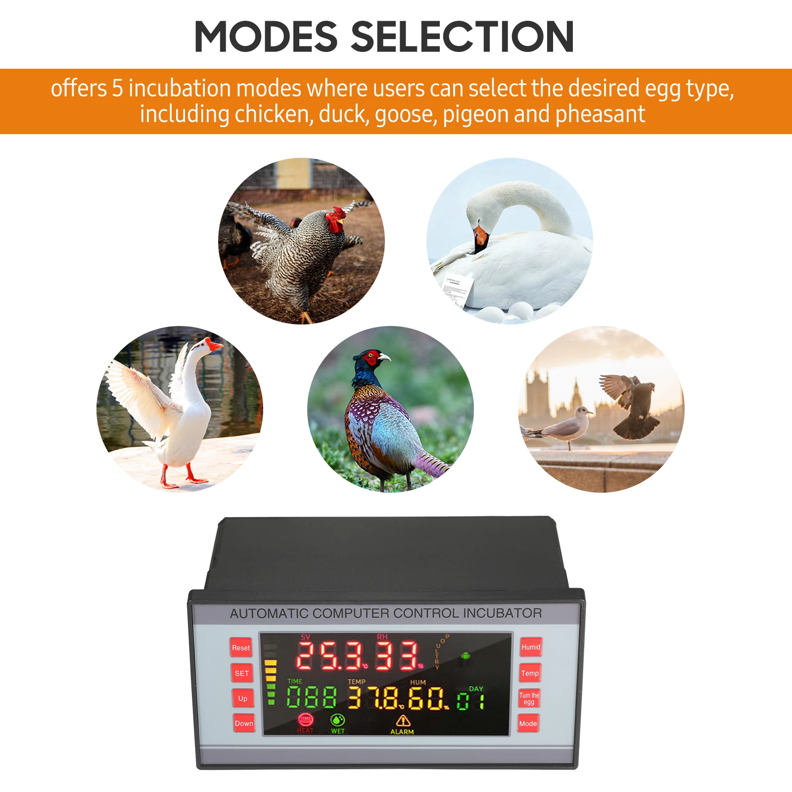Светодиодный цветной экран, полностью автоматический контроллер коробки с постоянной температурой, контроллер яиц, контроллер влажности яиц