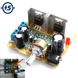 TDA2030A DIY Kit Electronic Amplifier Dual Channel Power Board DIY Kit for Arduino Production Training Suite