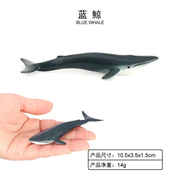 Mini Sea Life Model Whale Shark Turtle Dolphin Small Animal Toy Set Science and Education Cognitive Ornament