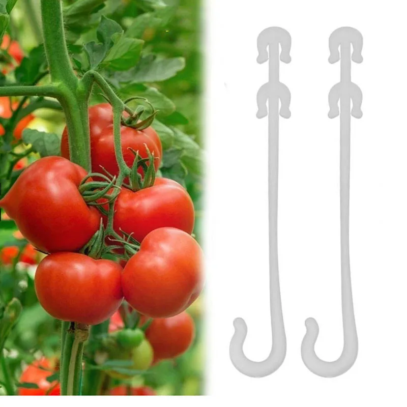 

50/100 Pcs Ear Hook Fruit Cherry Tomatoes Greenhouse Clamp Fruit Garden Vegetable Fix Buckle Hook Flower Plant Support Clips