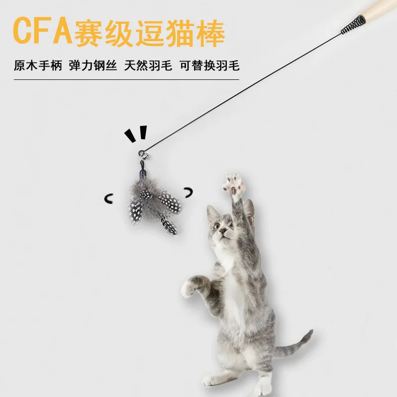 CFA Competition Grade Cat Wand Wooden Handle Spring Pole Pearl Feather Replacement Head Bite Resistant Pet Toy