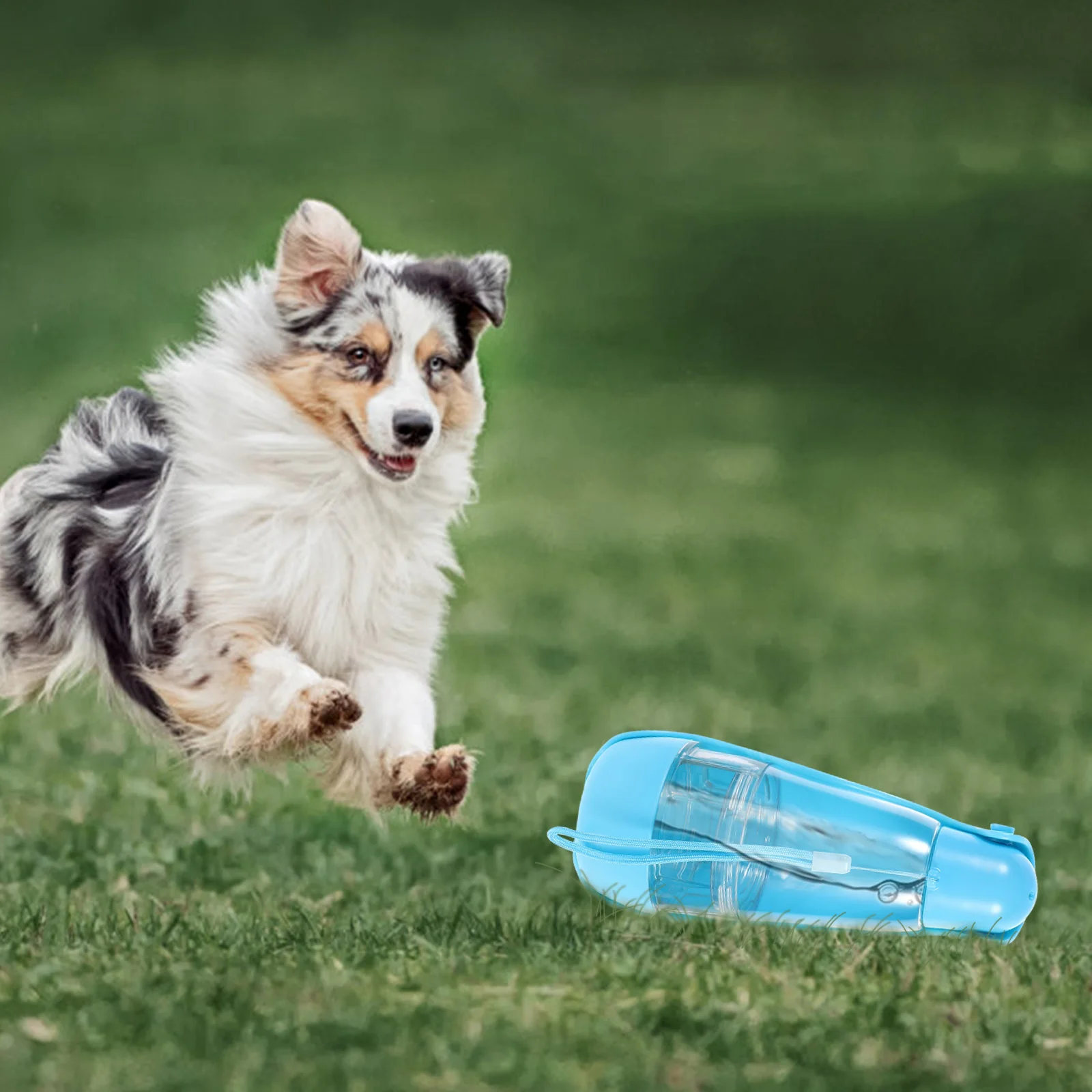 

Portable Pet Water Bottle Leak Proof Dog Food Dispenser Durable ABS PET Material Compact Size Travel Bottle For Dogs
