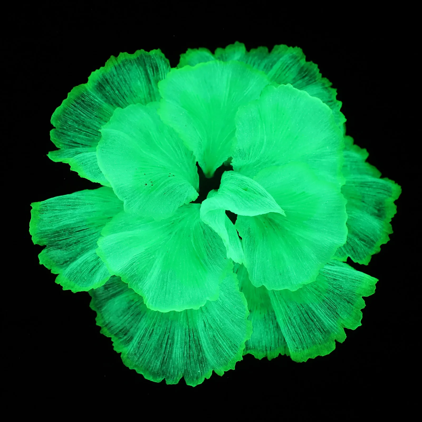 

Lifelike Artificial Aquatic Plants for Aquarium Fish Tank Decor Long Lasting Non Fading Flowers Home Office Garden Courtyard Pet
