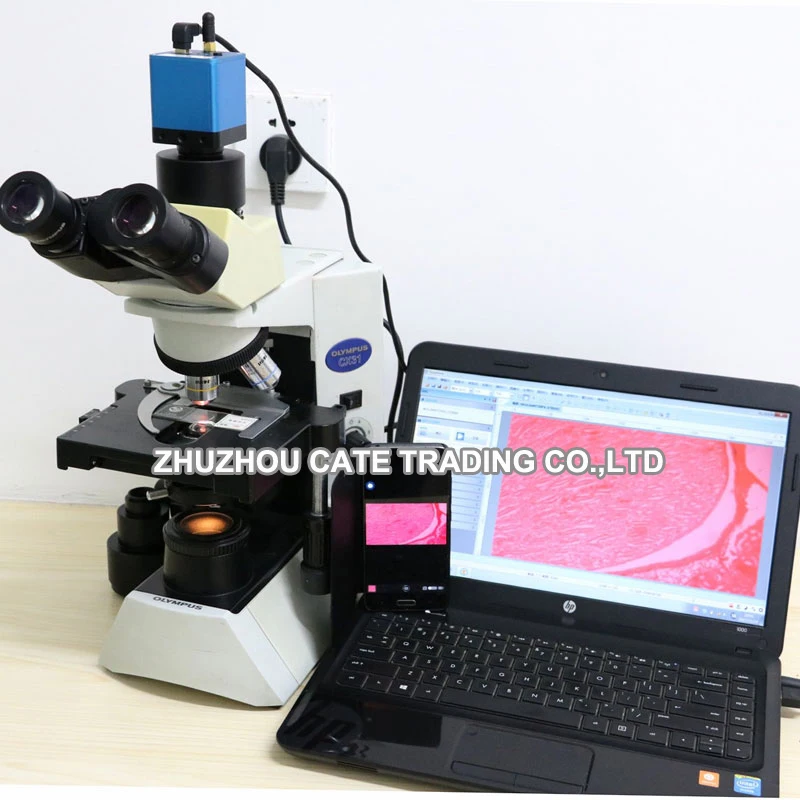 C-mount WIFI Industrial Camera USB 2.0 720P CMOS Wireless Digital Microscope Cameras for Phone Tablets PC Microscope Telescope