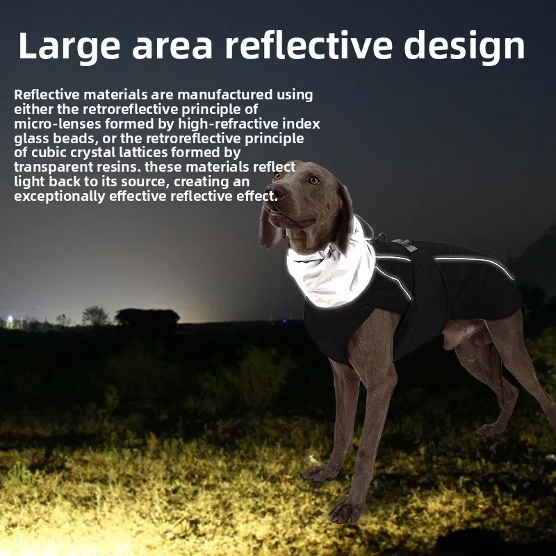 Thumbnail 3 - #49 Latest Waterproof Dog Jackets Offers