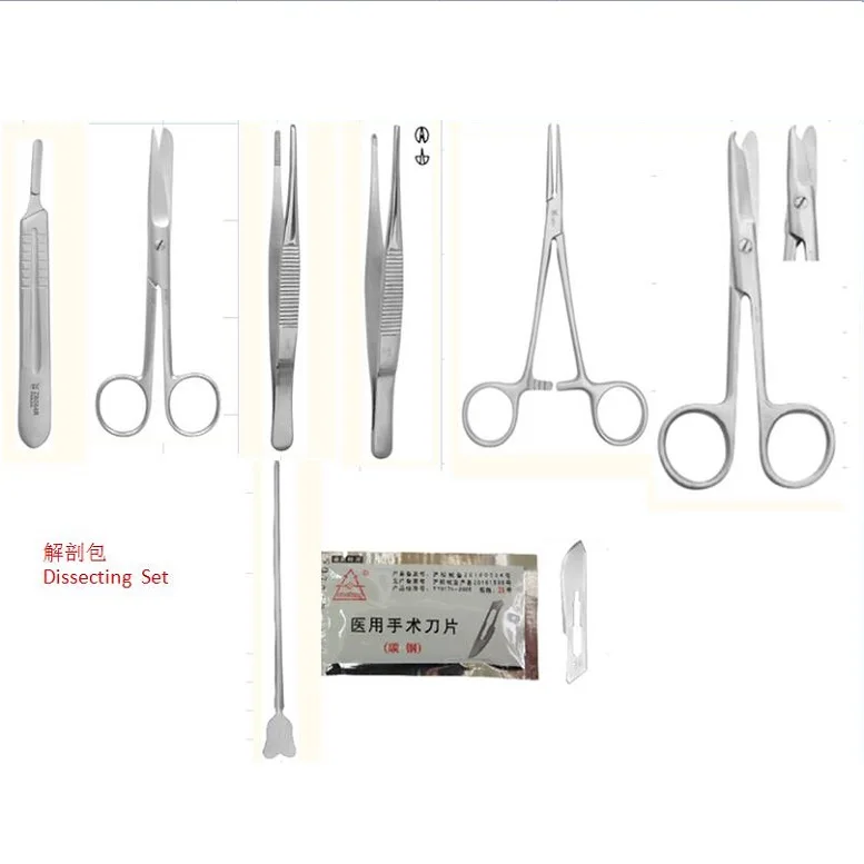 Instrumento quirúrgico veterinario de alta calidad, instrumentos de operación de animales