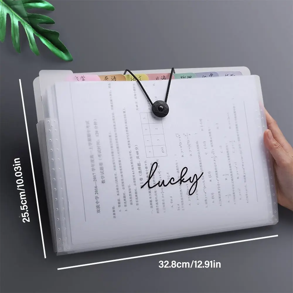 Large Capacity 5/8/12 Pockets A4 File Folder Waterproof PP Test Paper Storage Folder Creative Cartoon Document Bag Portfolio