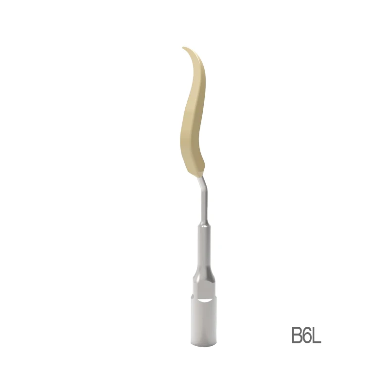 VVDental Ultrasonic Dental Scaler Tips for Cleaning Implant Ceramic Orthodontic Teeth Tips  Fit EMS WOODPECKER-UDS Handpiece