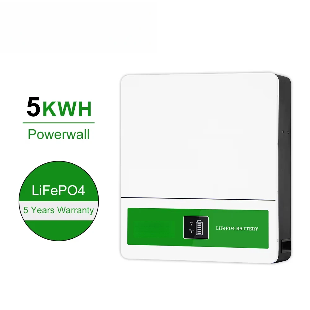 NEW 51.2v Lithium Battery Wall Mounted LiFePO4 Battery Hybrid Solar Energy System 5kwh 100AH Home Battery Power Energy Wall