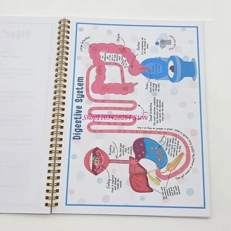 livro-pratico-anatomia-humana-portatil-para-criancas-guia-abrangente-sistemas-corporais-para-alunos-uso-diario