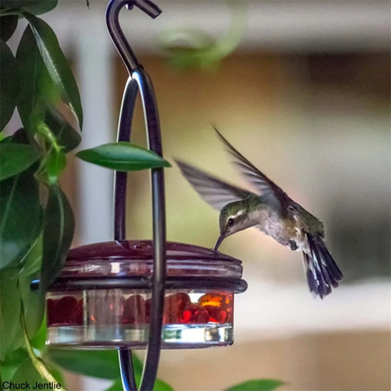 Hummble Slim Hummingbird Feeder Metal Hummingbird Feeder Hanging Metal Hummingbird Feeder Round Hummingbird Feeder