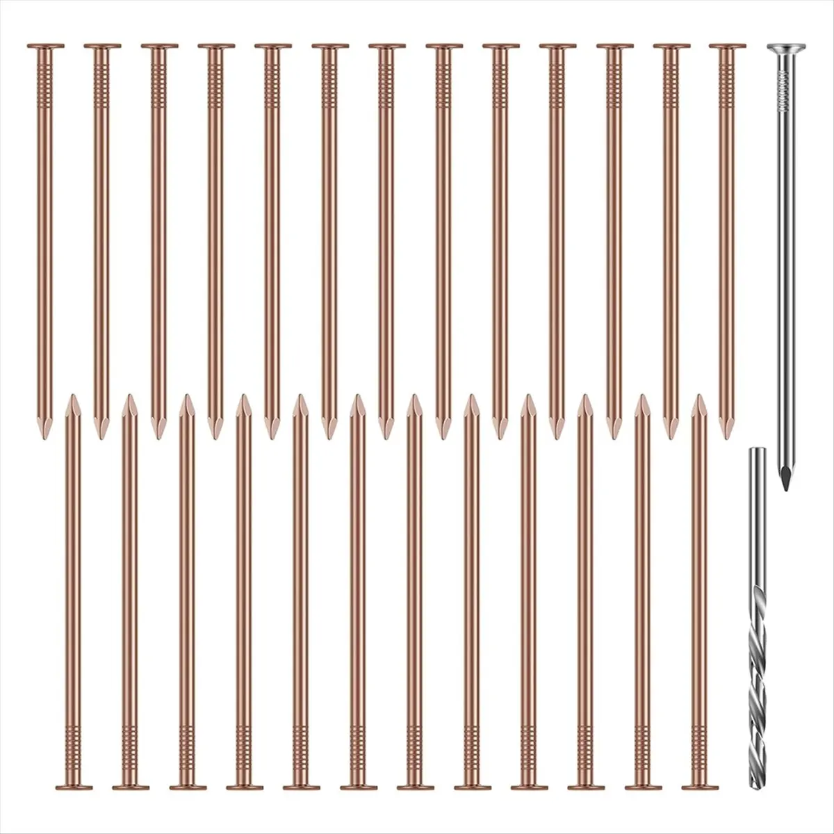 

DT75BG Copper Nails Kit, 3.5 Inch Stump Removal Spikes,Pure Copper Nails, Stump Removal Tool for Trees Stumps Landscaping