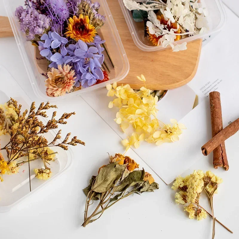 DIY flores secas naturales reales planta Artificial para velas molde resina epoxi decoración de aromaterapia accesorios de Artesanías hechas a mano