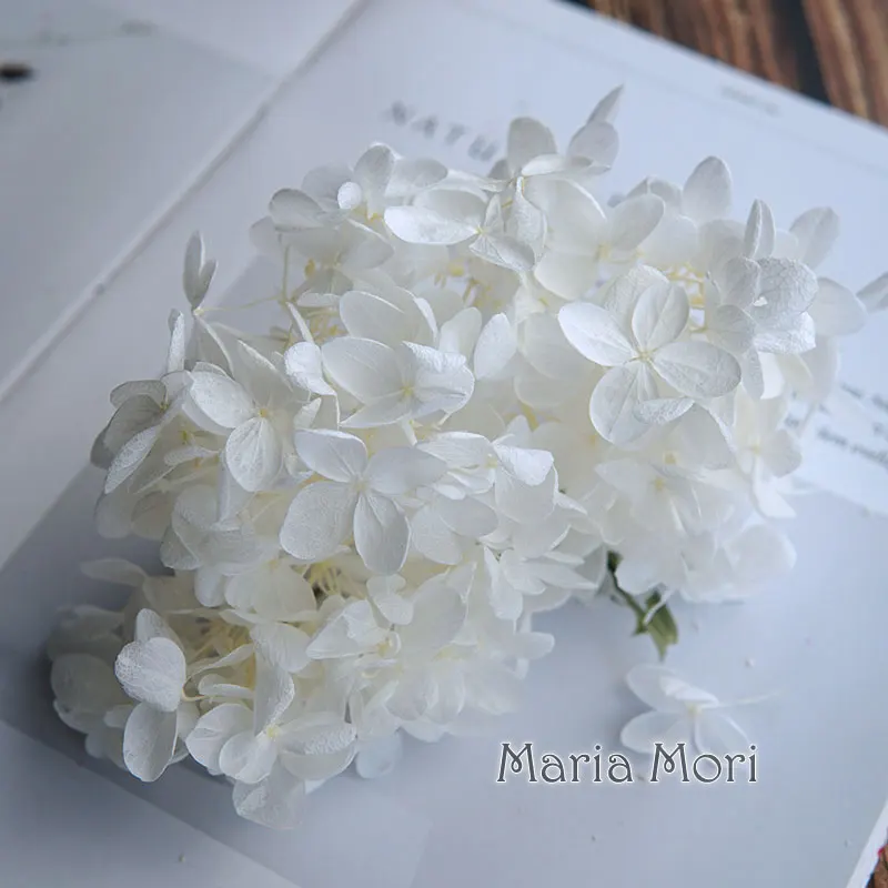 Natural Real Hydrangea Paniculata Ellipse Petals Flowers Office Decor Crystal Glue DIY Flowers Scented Candles Material