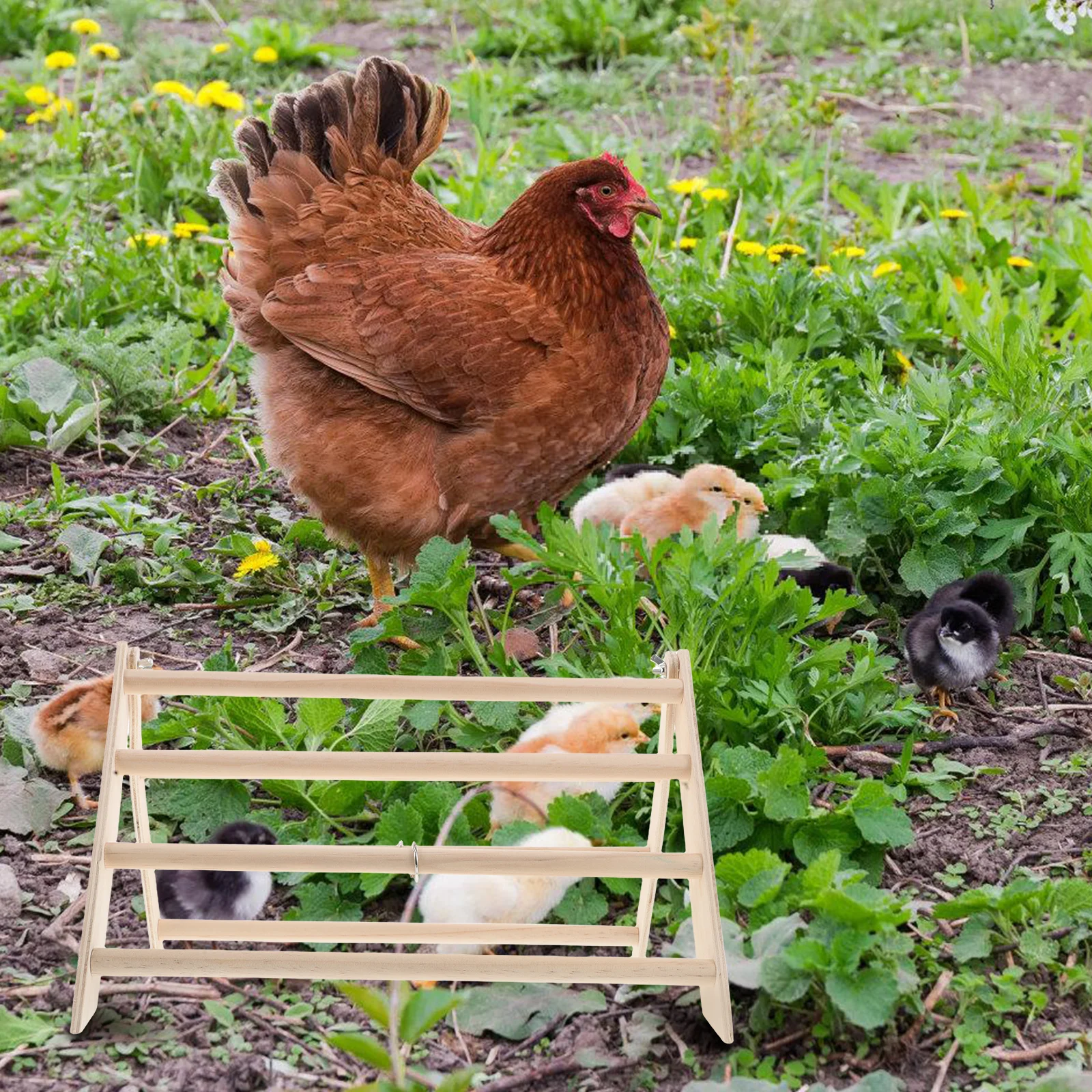 

Poultry Perch Rack Wooden Chicken Stand Coop Accessories Ramp Baby Supplies Rooster Durable Wood Stable Construction Comfortable