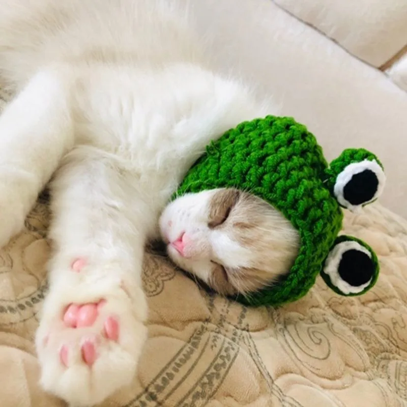 Handmade Knitted Hat for Pet Dogs, Cute Frog Shape Headgear, Fun Photography Socialization, Puppy