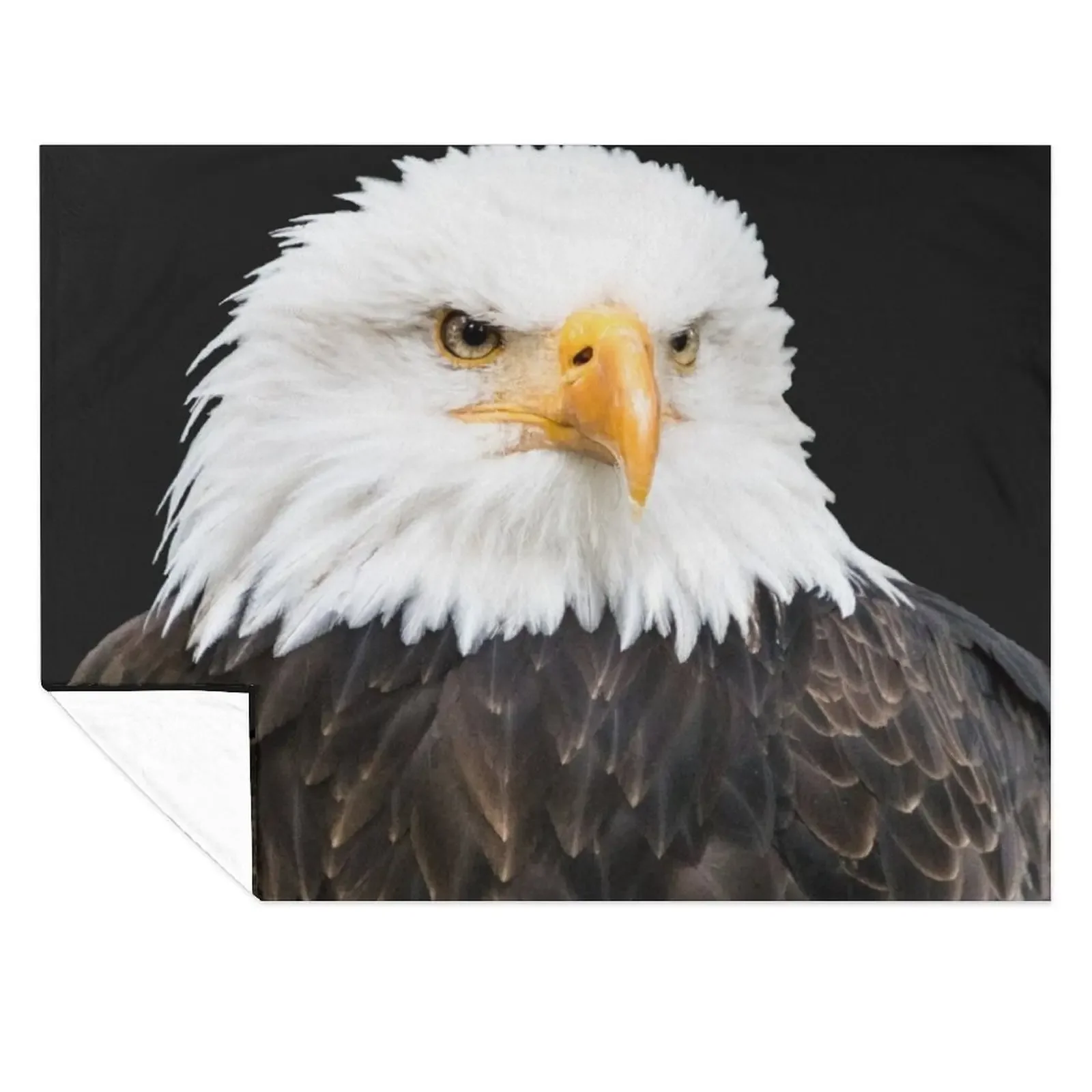 

Bald eagle Throw Blanket Blankets For Baby Cute Plaid Nap Luxury Blankets