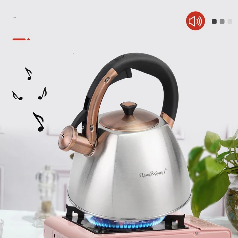 

HausRoland kettle, stainless steel kettle, gas stove, hot water kettle, gas kettle, 3L