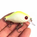 Yellow Back