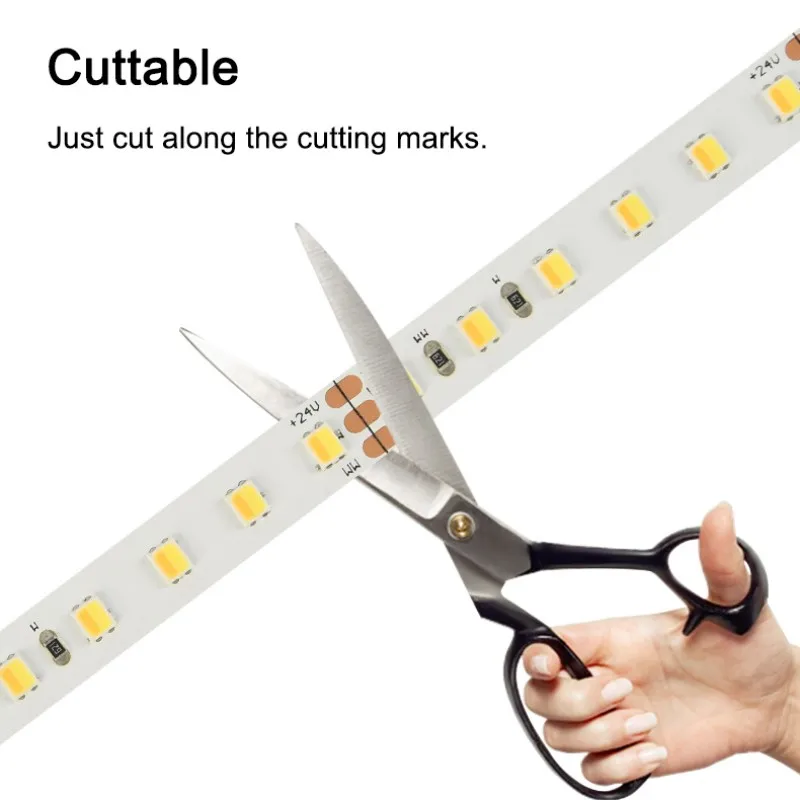 2in1 سطوع عالية 5 متر/لفة CCT 3000K-6000K عكس الضوء 12 فولت 24 فولت 5 مللي متر 8 مللي متر SMD2835 SMD 2835 CCT Led قطاع ضوء