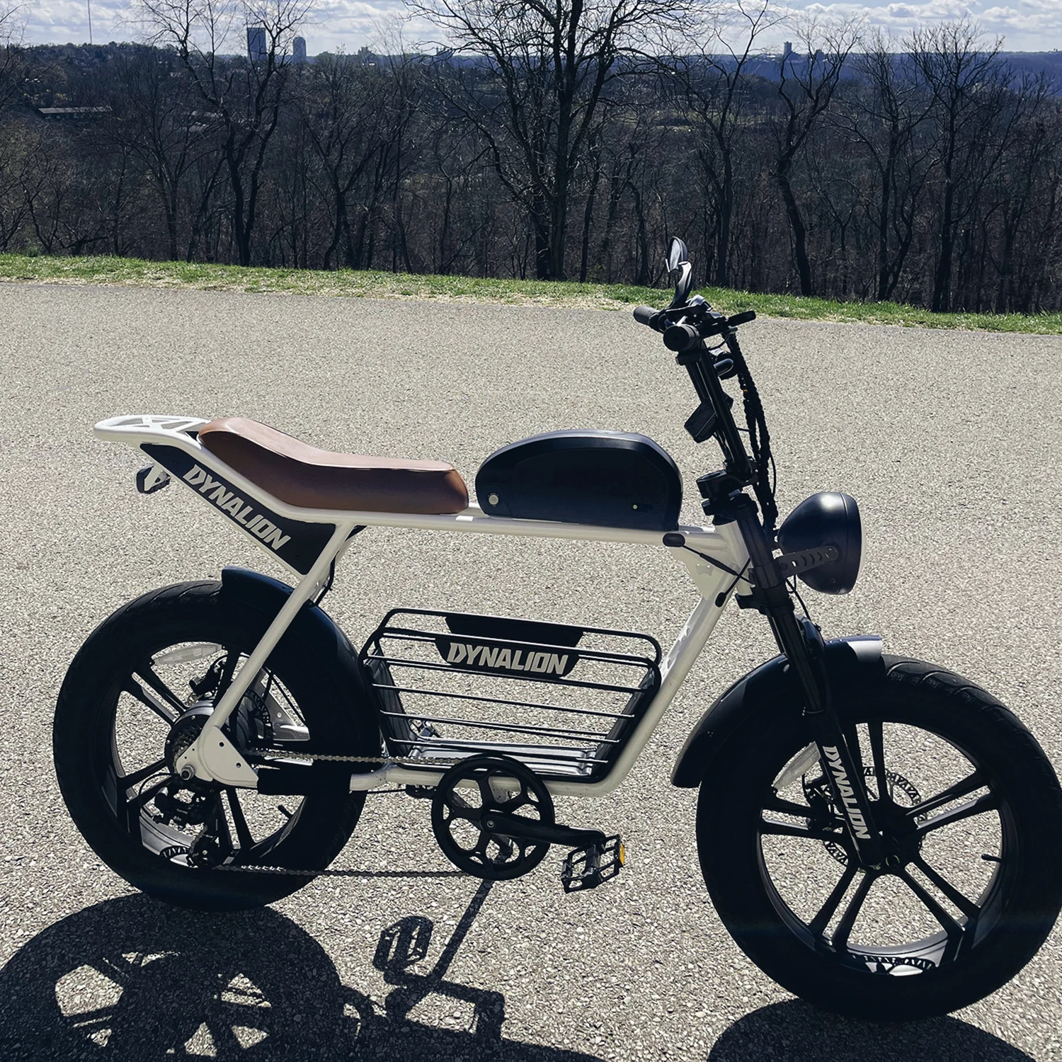 SXLL Ebike 1000W Ebike الكهربائية 1000W تعليق كامل