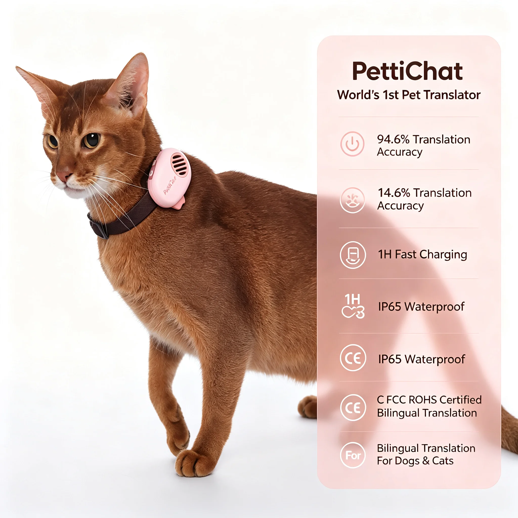 Pettichat AI Pet Translator Device High Accuracy IP65 Wireless Beacon Pet Tracker Emotion Sensing 4G Bluetooth 20+ Hours Battery