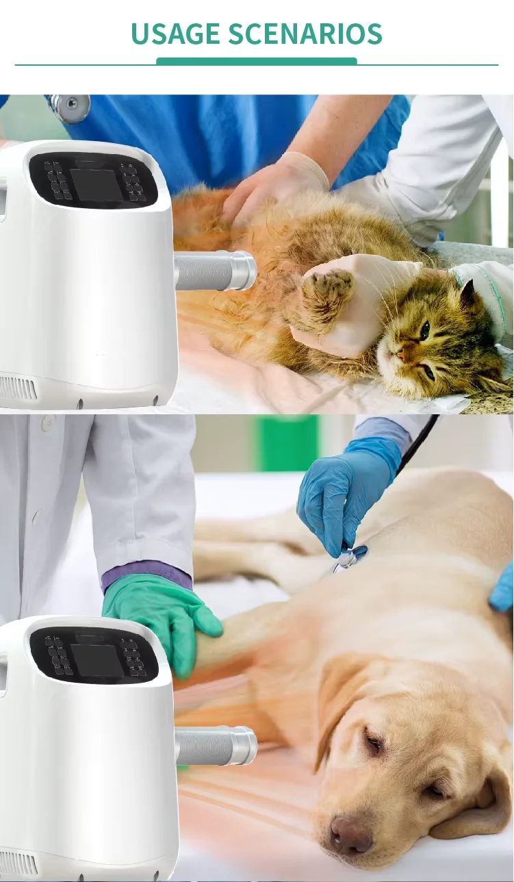 Large Animal Pet Clinic Surgical Care Machine Constant Temperature Heating System With Cushion For Dog Operations