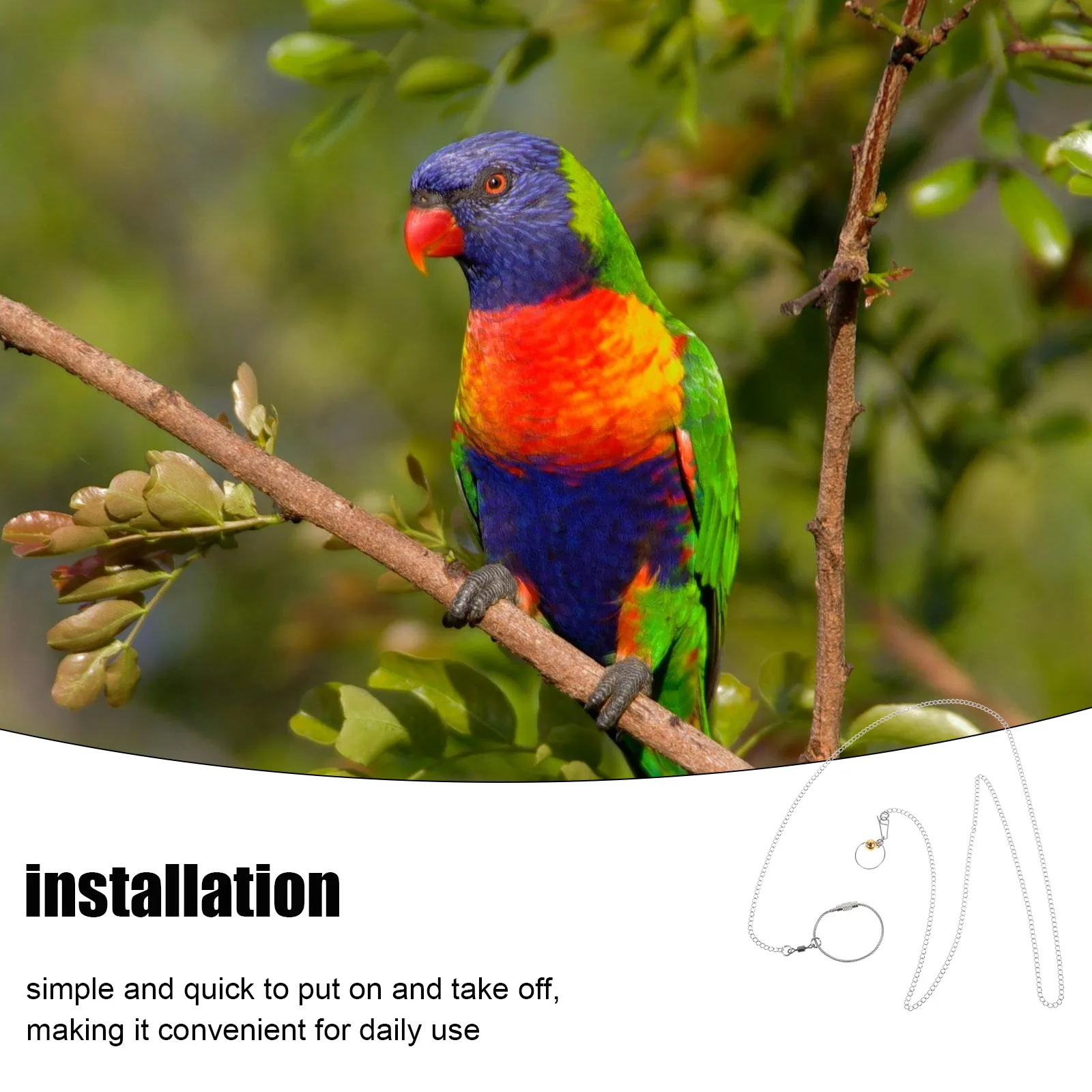 

Stainless Steel Parrot Neck Collar Bell Secure Comfortable Bird Chain Leash Outdoor Training Harness Ankle Foot Ring for Macaw