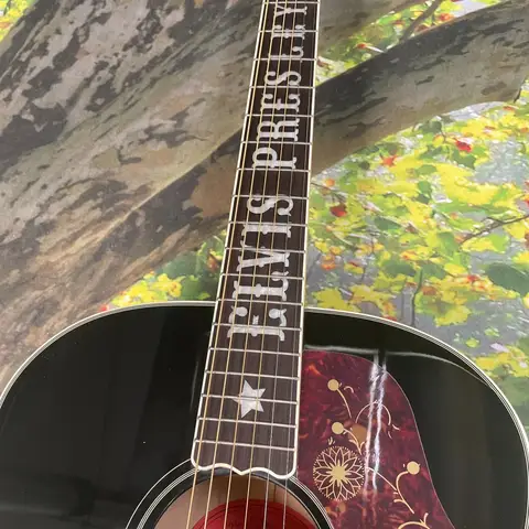 6 best sales Elvis-gitarr - №3