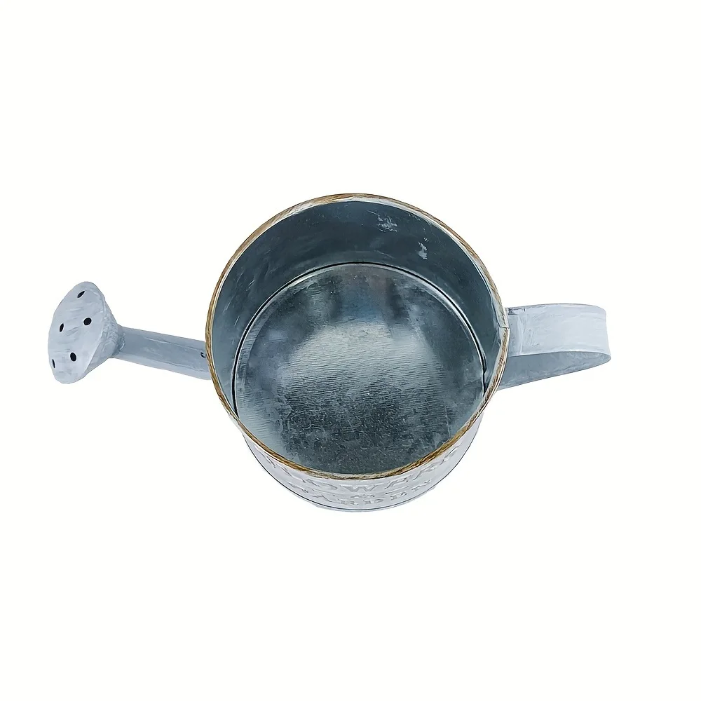 Retro Embossed Metal Watering Kettle Garden Ornamental Pot Vintage Decorative Sprinkler For Home Indoor Plant Irrigation