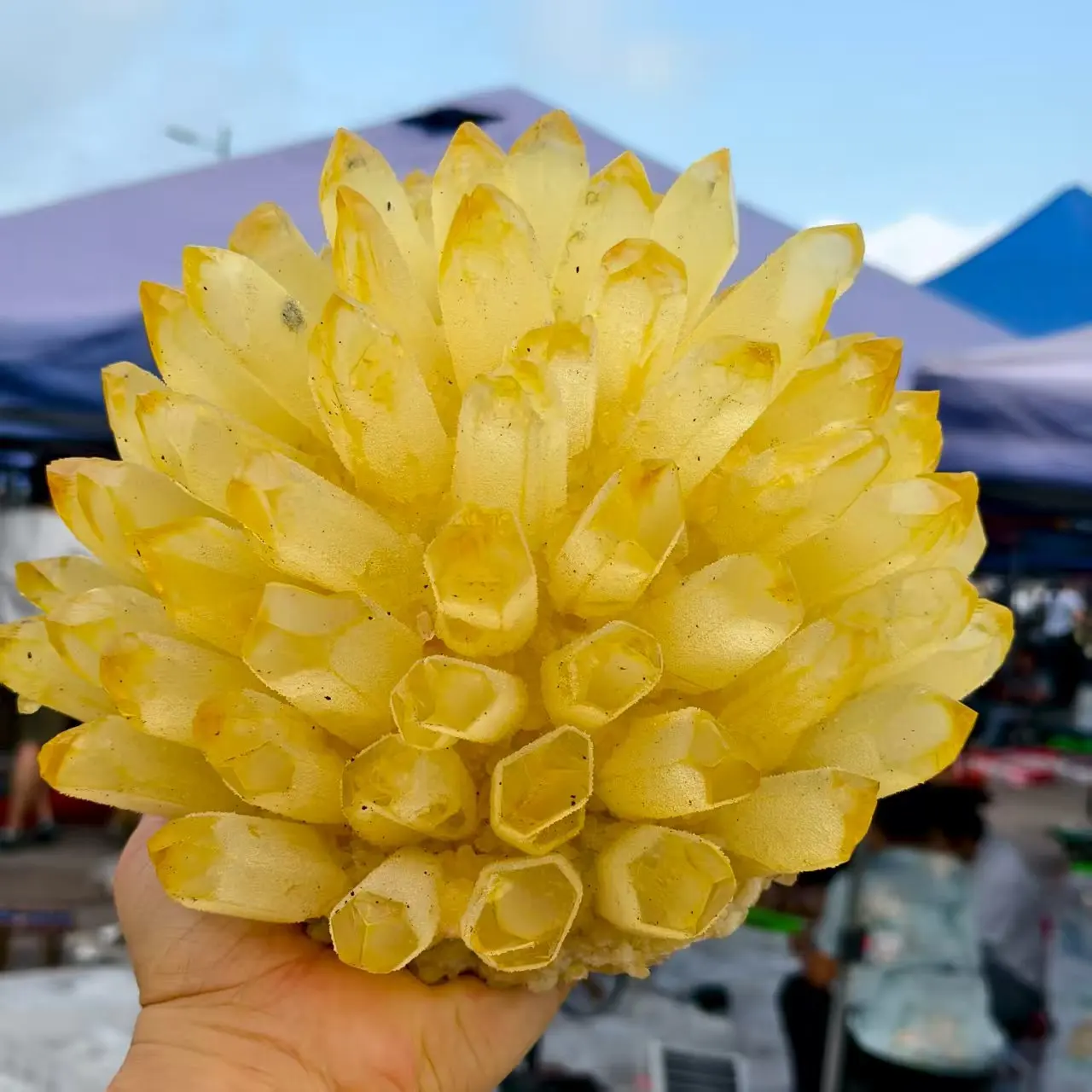 Natural Newly Discovered Yellow Crystal Quartz Clusters,Crystal Ore Clusters,Minerals, Reiki, Healing Clusters