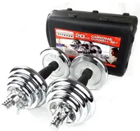 IN STOCK Chromed gift box adjustable dumbbell kit de pesas 20 kg mancuernas pesas ajustable plating Dumbbells