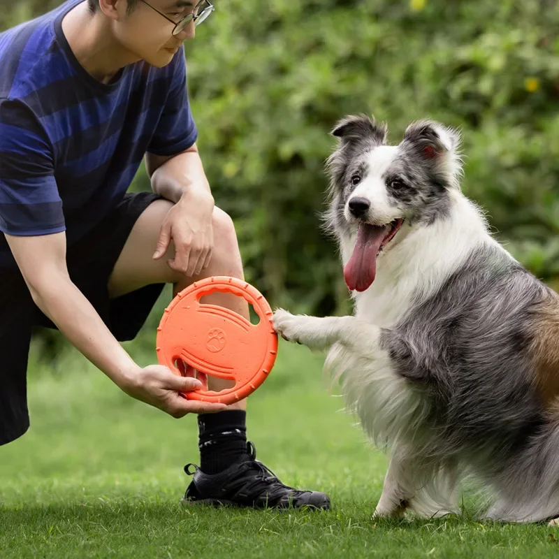Thumbnail 3 - #2 Trending Puppy Fetch Toys Right Now