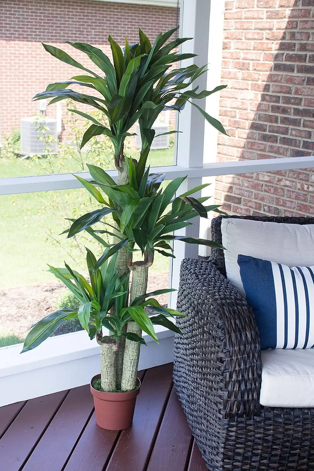 62In Artificial Corn Stalk Dracaena Plant, Tall Fake Plant For Indoor Home Décor, Real Touch Faux Plant