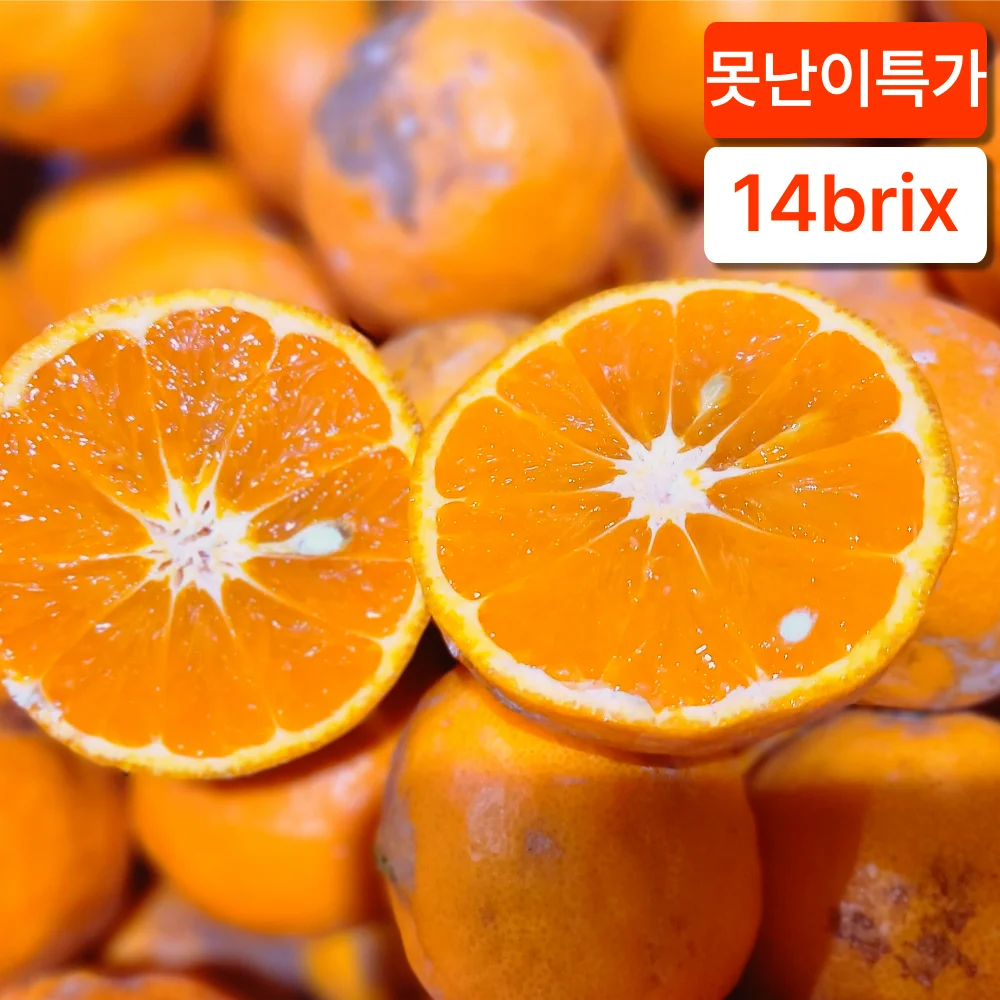 [Aliprice] Noknang Jeju Kara Fragancia Aleatoria y