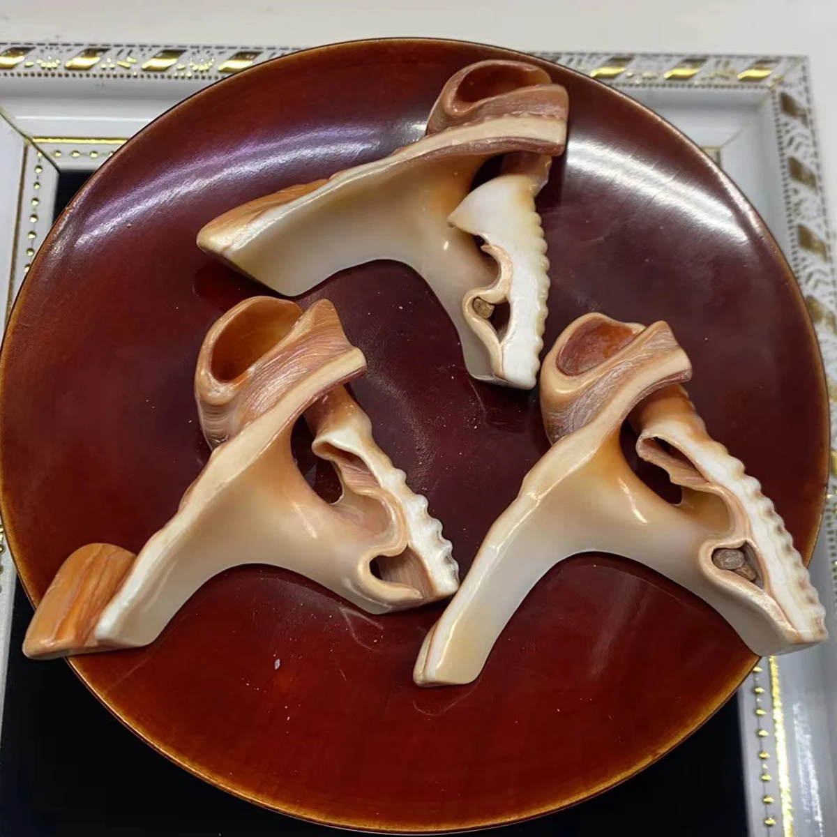 

10pcs Freshwater Shell Irregular Aquarium Decorations Pendant Loose Wanbao Bead Jewelry Make DIY Bracelet Earring Accessory