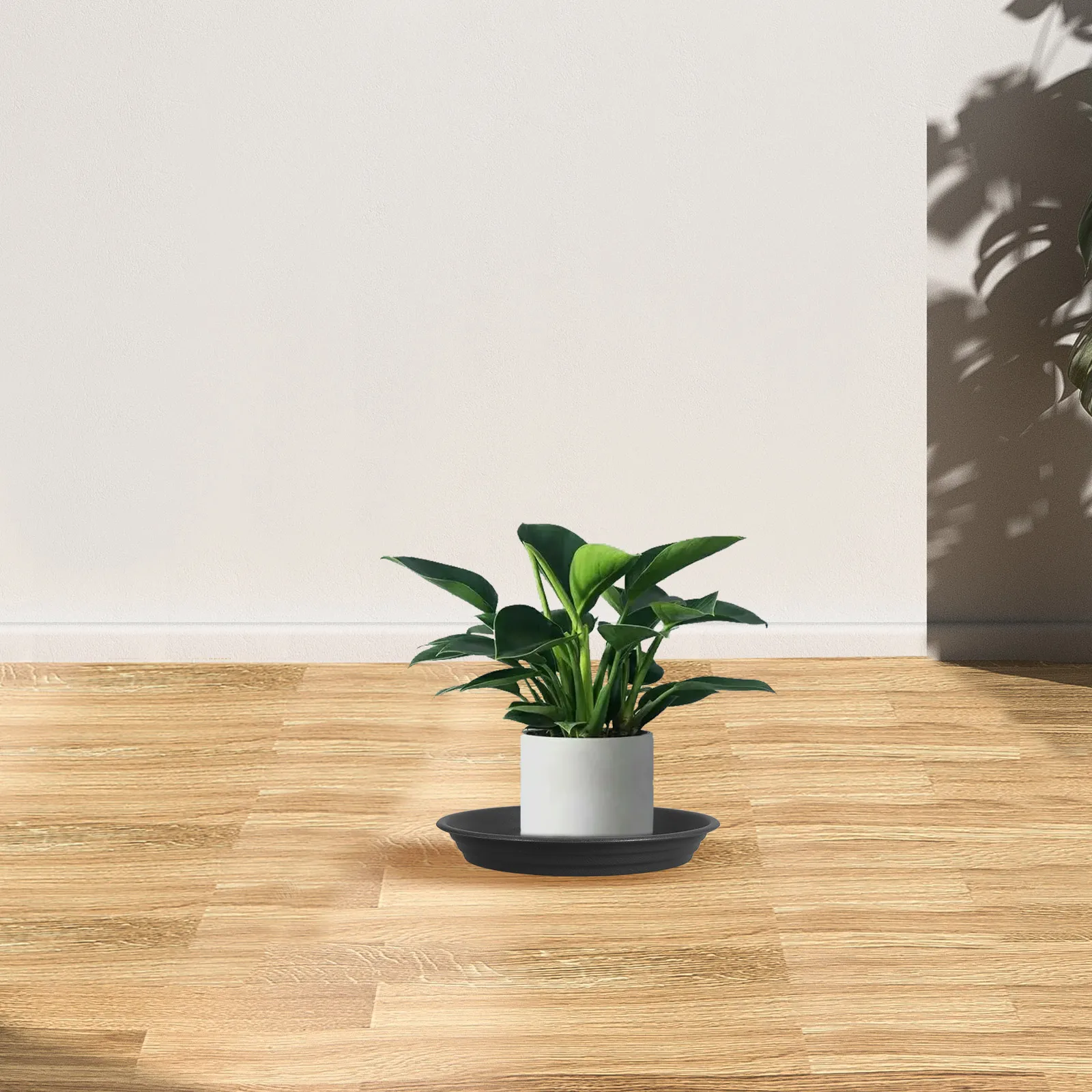 

5pcs Flower Pot Trays Sturdy Thickened Water Collection Prevent Root Rot Compatible Pots Garden Plants Saucers