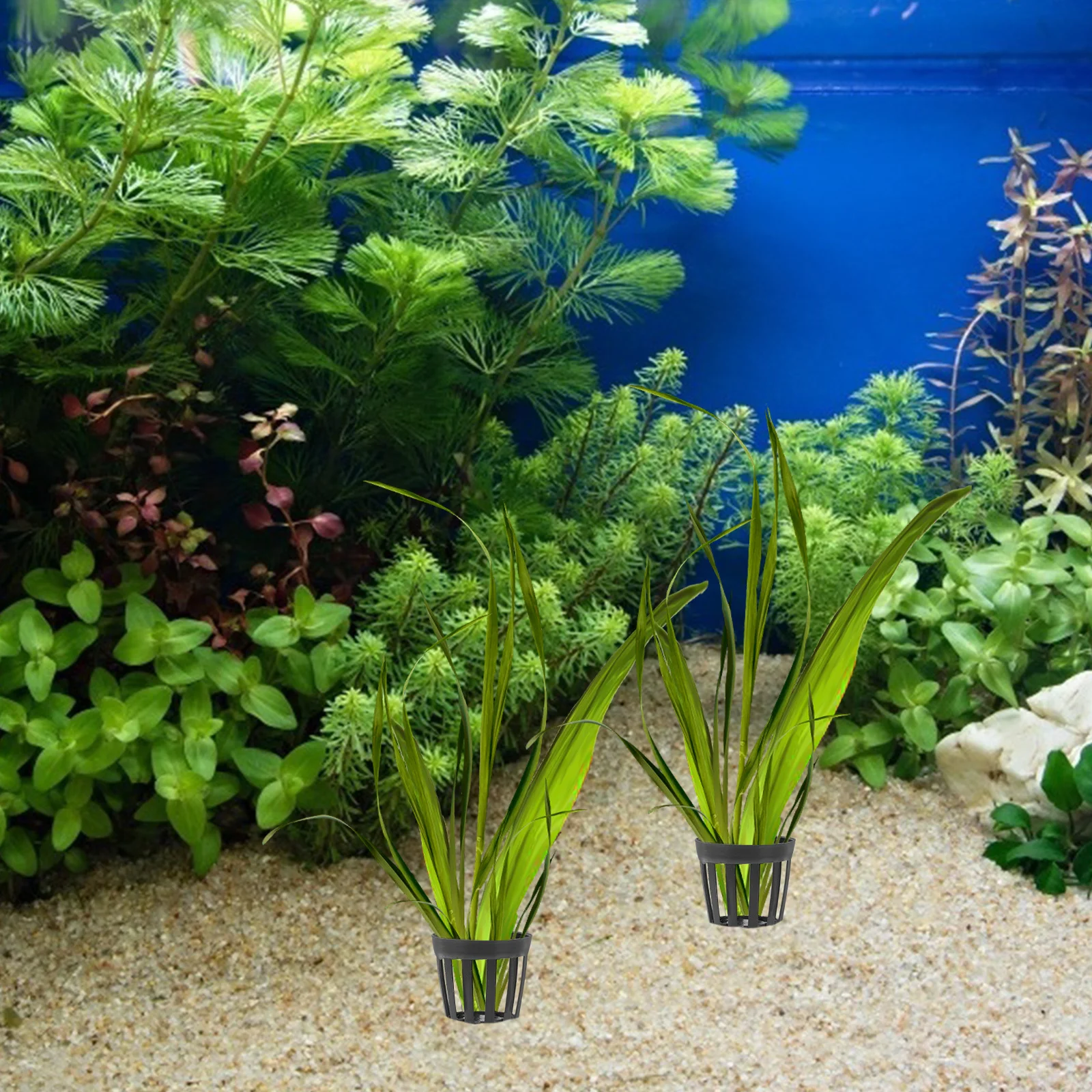 

50Pcs Garden Potted Plant Holder Flexible Sunlight Resistant Fish Tank Supplies Easy Clean Reusable Fish Tank Planting Basket