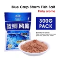 Storm version