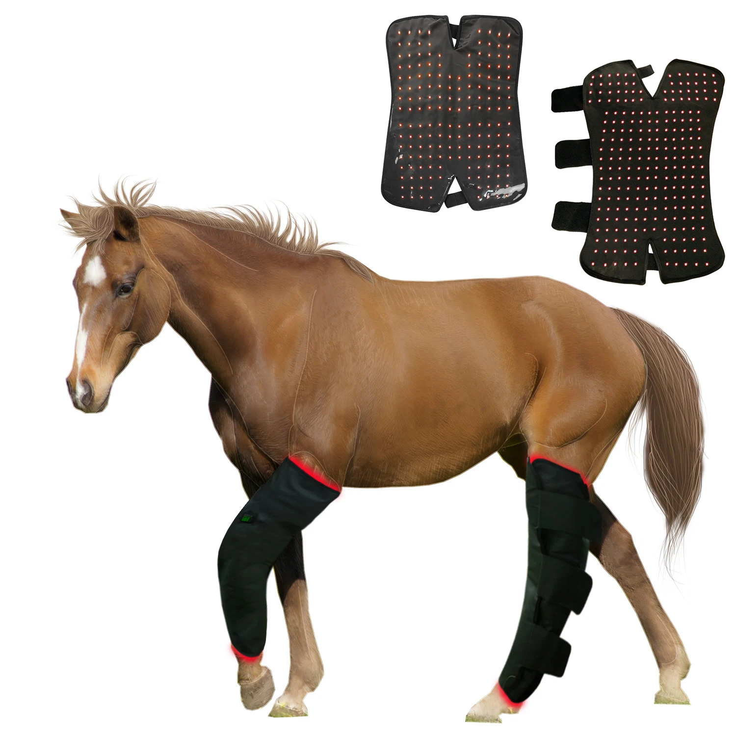 Сапоги Equine Red Grow Light Therapy для лошади спереди и задницы ног Светодиодные инфракрасные импульсные обертывания для восстановления после травм и облегчения боли