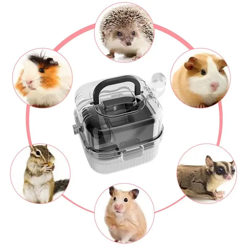 New Hamster Cage Portable Translucent Outer Basket Flower Branch Mouses Golden Wire Bear Panoramic Outer Bag Pet Supplies